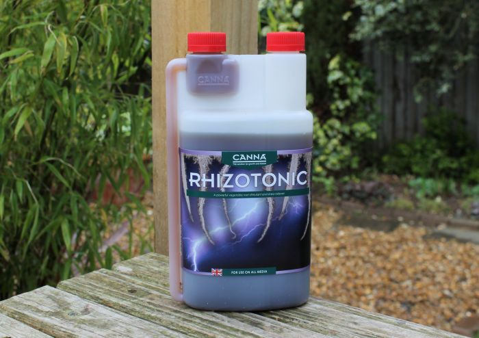 rhizotonic